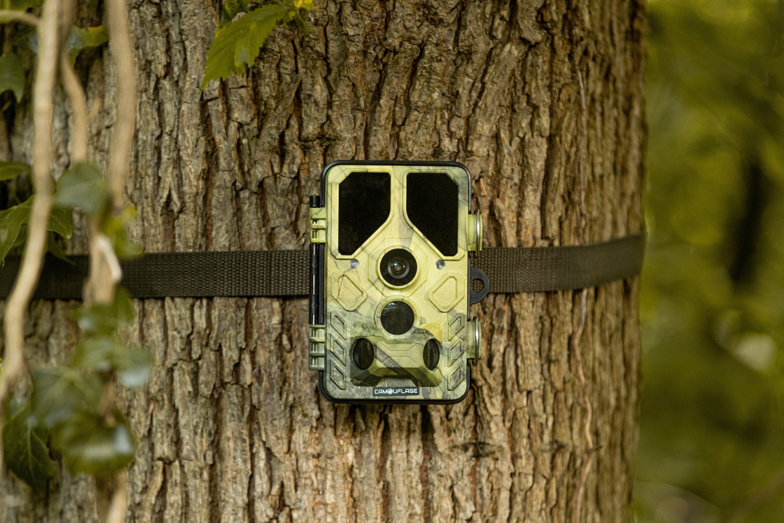Camouflage EZ45 wifi camera