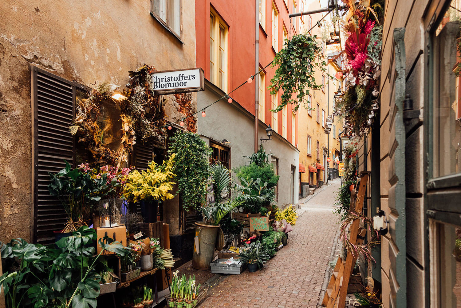 Nikon Nikkor Z 28mm f/2.8