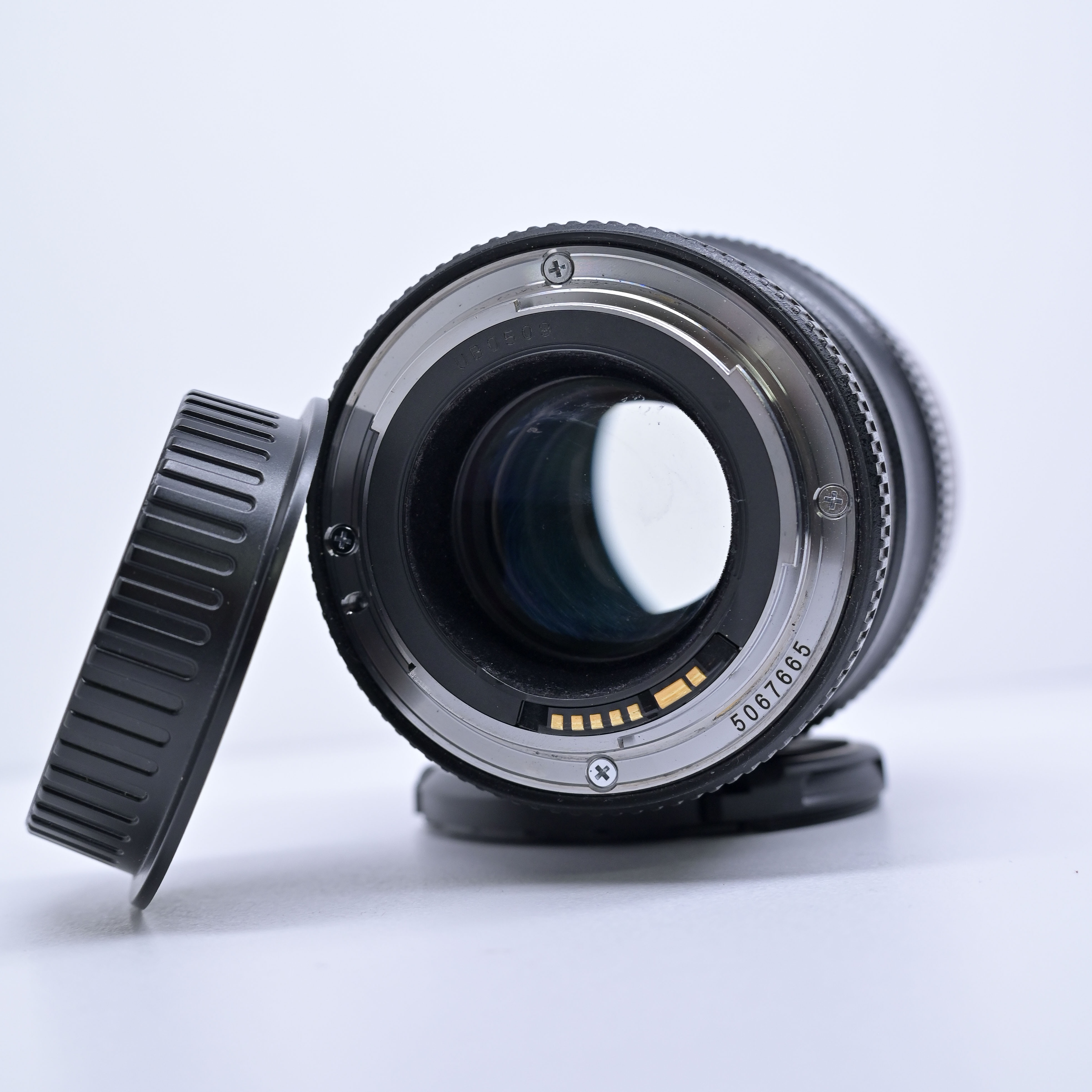 Occ. Canon EF 100mm F2.8 L IS USM    *613*