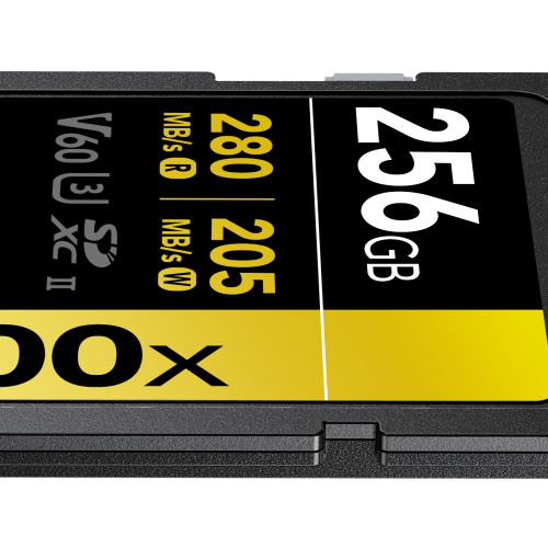 Lexar SDXC 256 GB SD PRO UHS-II U3 V60 1800x