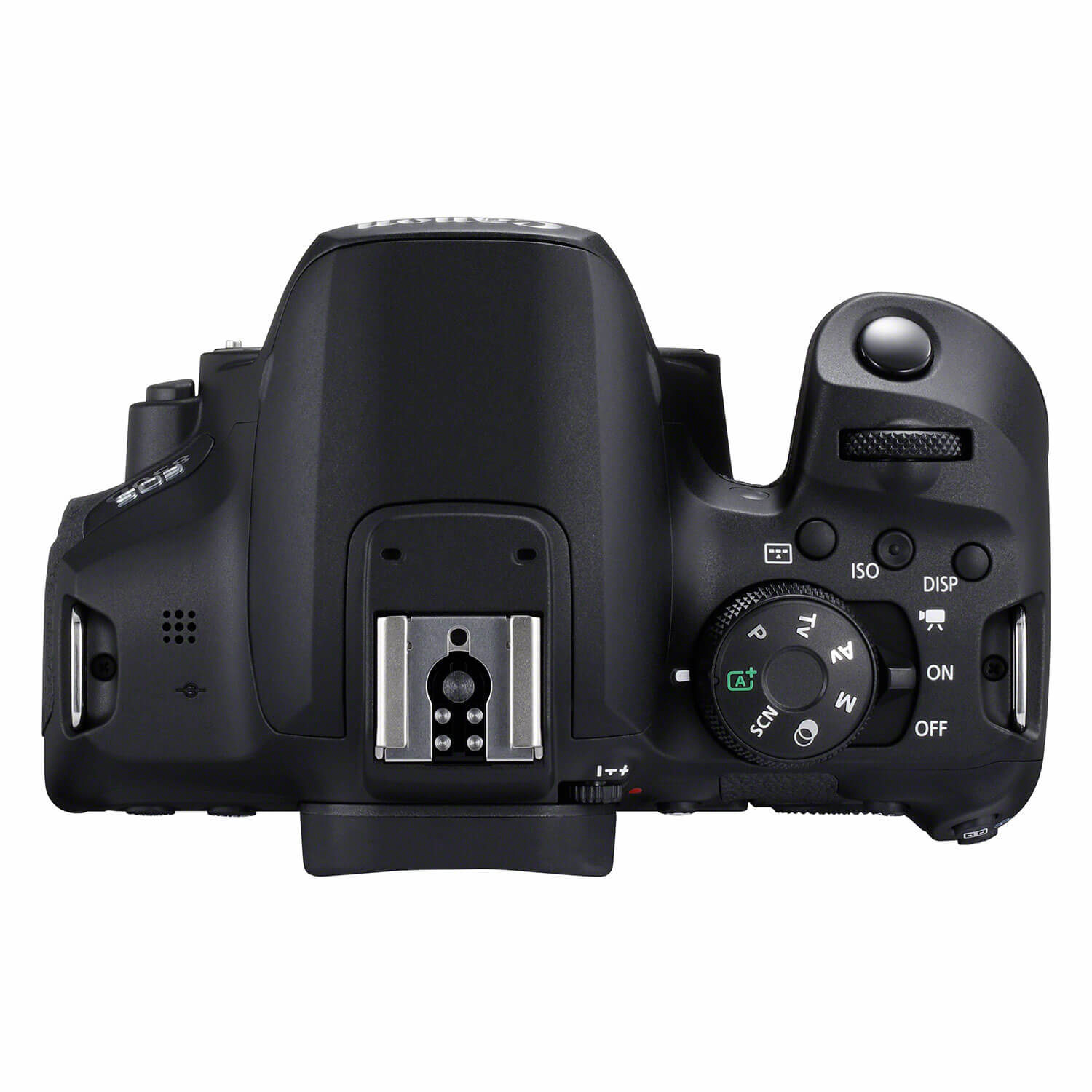 Canon EOS 850D Body